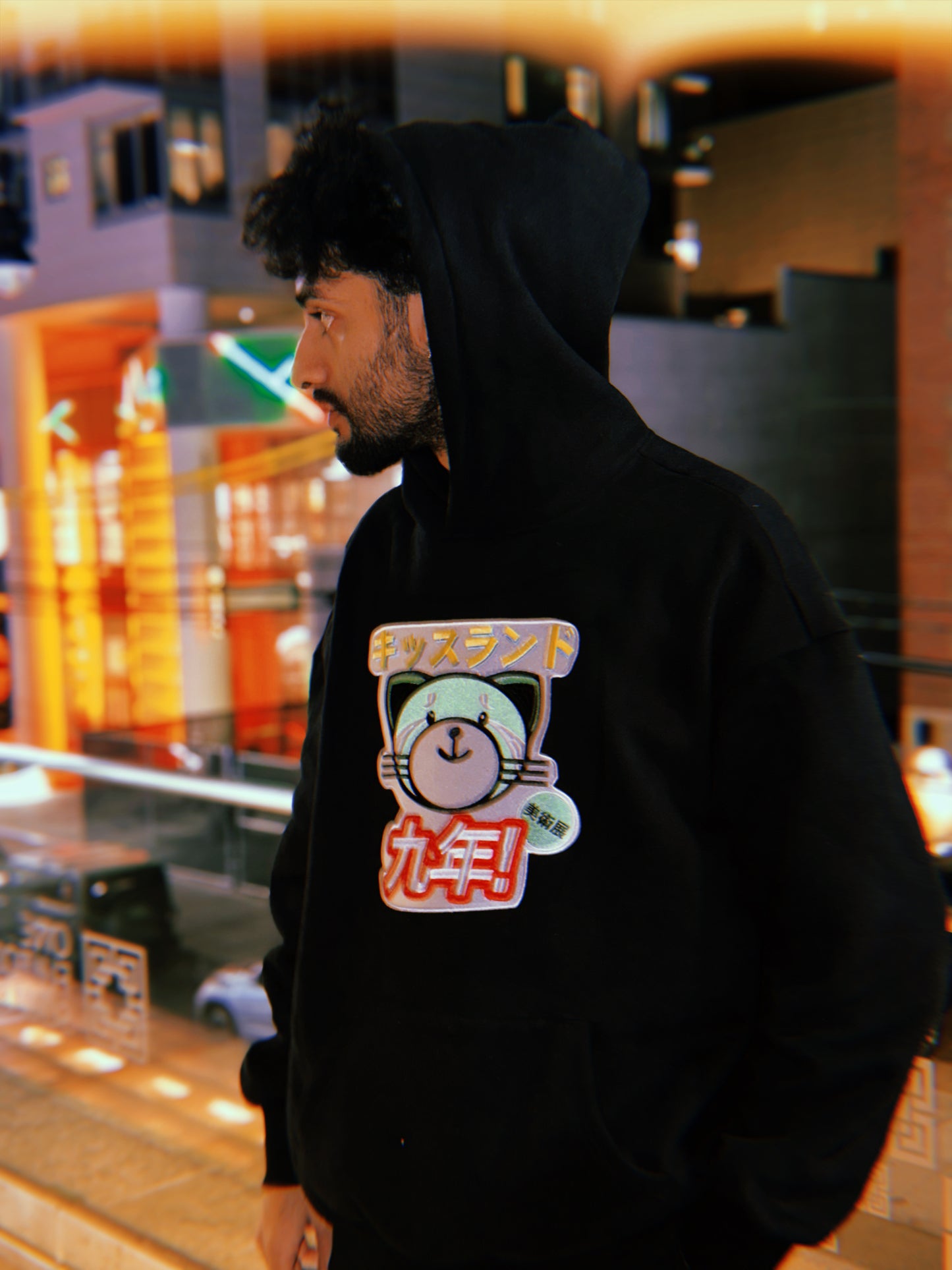 Kiss Land Embroidered Hoodie